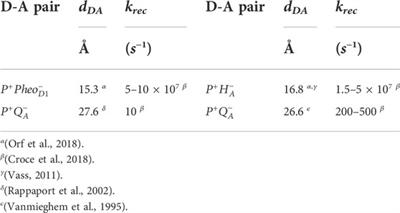 Charge-transfer states in photosynthesis and organic solar cells